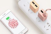 大白充电器插头使用方法？有哪些安全提示？