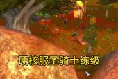 魔兽世界中技能多导致掉帧如何解决？有哪些优化建议？