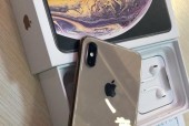 全面解读iPhoneXS的参数配置（一览iPhoneXS的硬件与软件特点）