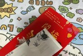 如何在网上快速办理手机壳？办理过程中会遇到哪些问题？