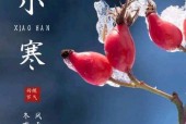 节气皮为何消失？如何找回或重新获得？