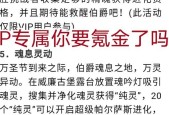 洛克王国vip充值的正确流程是什么？