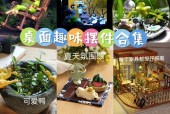 荣耀手机设置桌面小摆件的方法是什么？小摆件有什么作用？