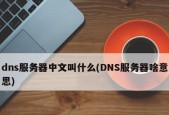 选择合适的首选DNS服务器地址，提升网络连接效果（如何选择适合自己的首选DNS服务器）