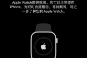 苹果手表付费操作步骤是什么？付费过程中需要注意哪些事项？