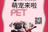 手机软件图片小狗怎么弄？有哪些编辑技巧？