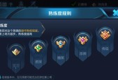 王者荣耀达到什么等级可以使用飘屏功能？