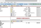 从手机上制作U盘启动盘的详细教程（使用手机制作U盘启动盘的步骤和注意事项）