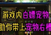 白嫖DNF宠物，快速提升游戏战力的小技巧（2024年DNF最新宠物系统）