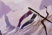 阿萝拉在英雄联盟中适合走哪条路线？技能加点策略是什么？