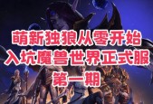 魔兽世界独狼模式开启方法是什么？