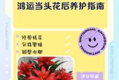 鸿运当头花的养护技巧（如何让鸿运当头花保持绚烂红色）