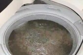 洗衣机中添加什么可以有效去除衣物毛絮？