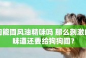 迷你艾力斯宠物（探秘迷你艾力斯宠物的特点）