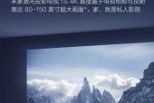 带投影布的电视机是什么型号？购买时应注意哪些特点？