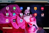 ipad9蓝牙为什么连不了小米耳机？如何解决连接问题？