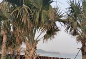 深圳游玩攻略（深圳旅游景点推荐）