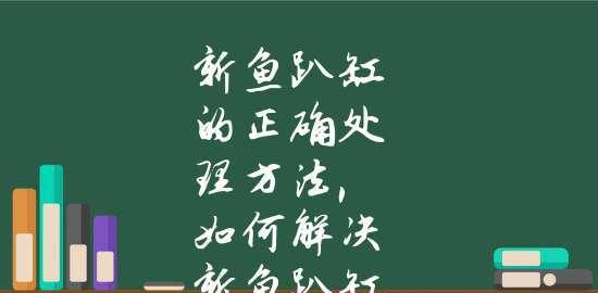 新鱼入缸必知注意事项（成功养鱼关键在细节）  第1张