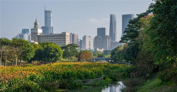 深圳游玩攻略（深圳旅游景点推荐）  第2张