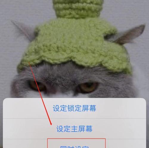 如何调整iPhone桌面图标大小？设置方法是什么？  第3张