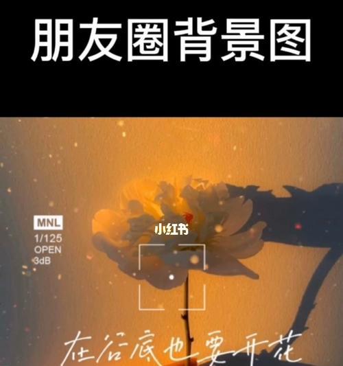 如何调整朋友圈背景图比例？调整后有什么效果？  第1张