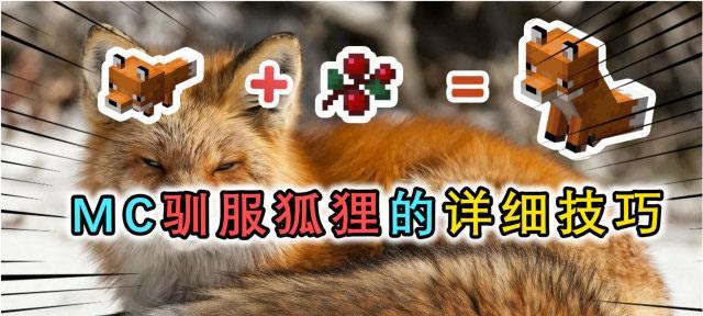 我的世界中狗能否被解除驯服？  第2张