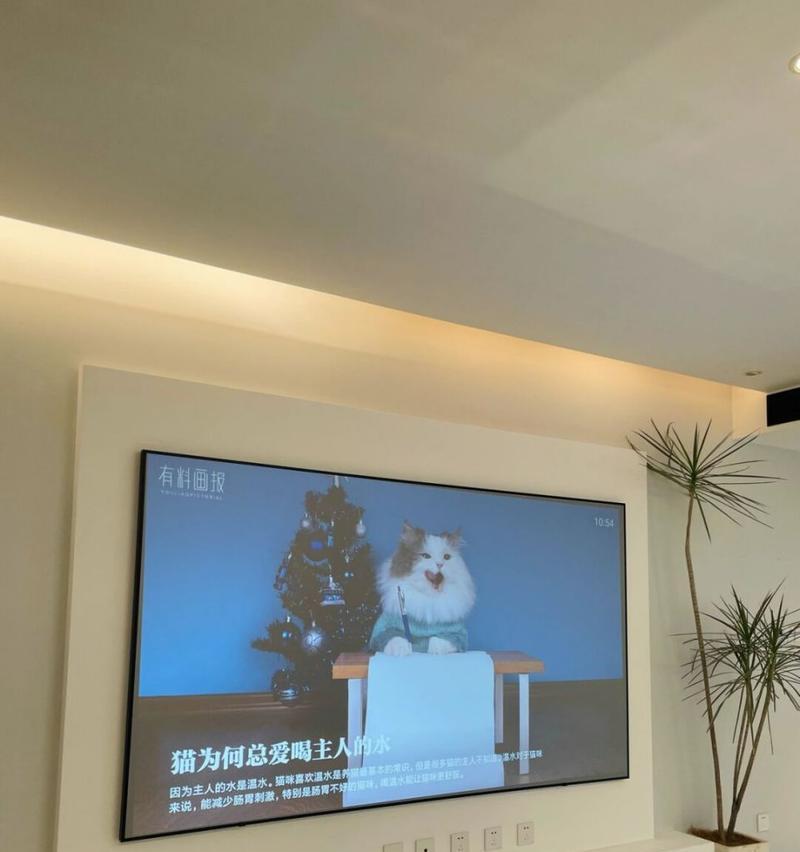 使用投影仪背景的主播名字是什么？  第2张