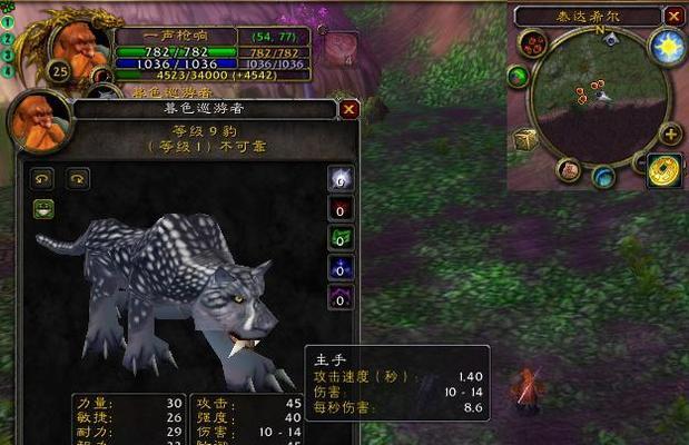 魔兽世界速度钟表任务完成方法是什么？  第2张