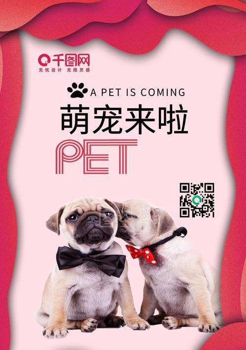 手机软件图片小狗怎么弄？有哪些编辑技巧？  第1张