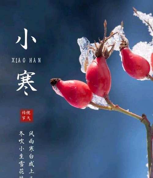 节气皮为何消失？如何找回或重新获得？  第1张
