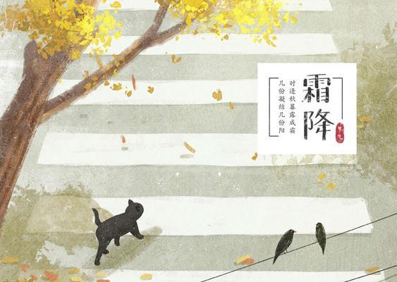 节气皮为何消失？如何找回或重新获得？  第3张