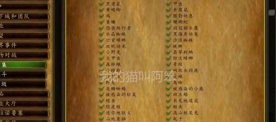 魔兽世界神射手成就如何完成？完成过程中需要注意什么？  第2张