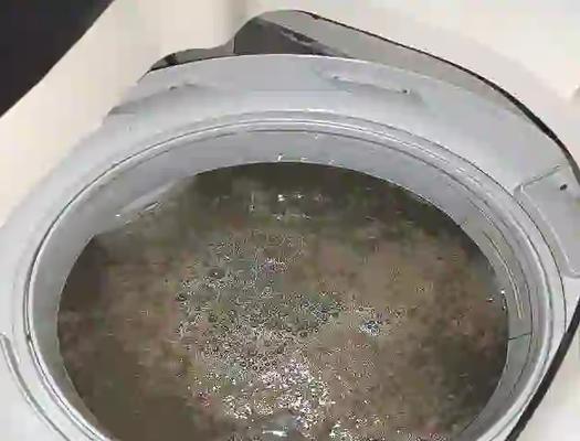 洗衣机中添加什么可以有效去除衣物毛絮？  第1张
