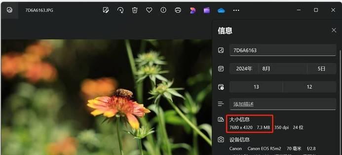 佳能视频拍摄开启裁切步骤是什么？  第2张