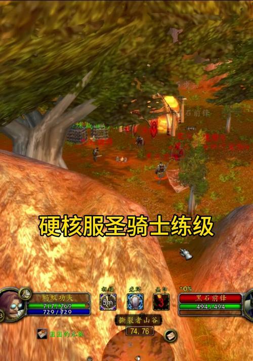 魔兽世界中技能多导致掉帧如何解决？有哪些优化建议？  第1张
