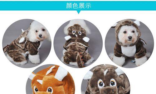 小飞龙宠物的获取方法是什么？稀有度如何？  第3张