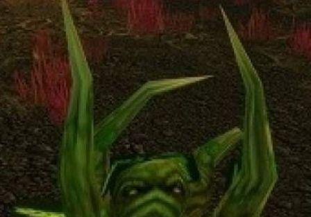 魔兽世界暮光之槌的营地怎么做？需要哪些材料和步骤？  第1张