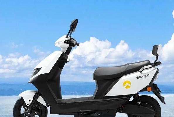 买电瓶车品牌怎么挑选？如何辨别电瓶车质量？  第2张