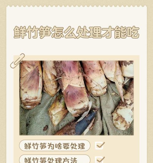 如何处理鲜冬笋的涩味问题（让你的鲜冬笋更加美味）  第2张
