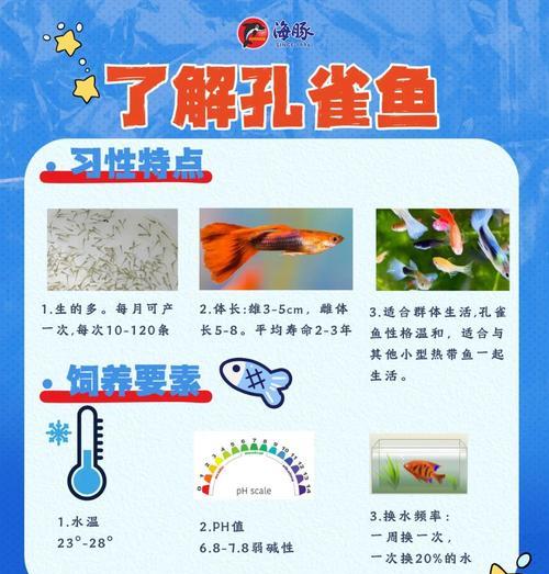 如何养护孔雀鱼才能活得长久（孔雀鱼的饲养技巧与注意事项）  第1张