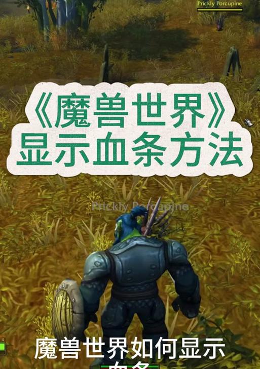 魔兽世界中血条如何变大？有哪些方法可以实现？  第3张