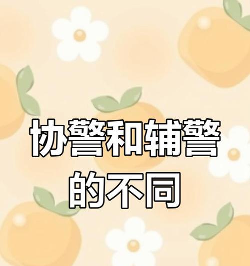 协警和辅警的区别是什么（职责）  第3张