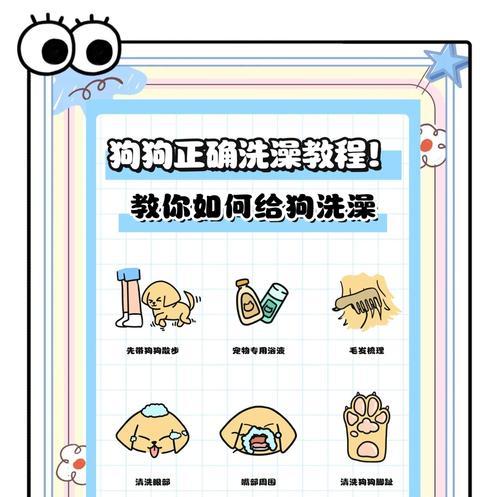 小心翼翼，宠爱你的狗狗——正确的洗狗狗方法（15个小贴士教你如何给狗狗洗澡）  第1张