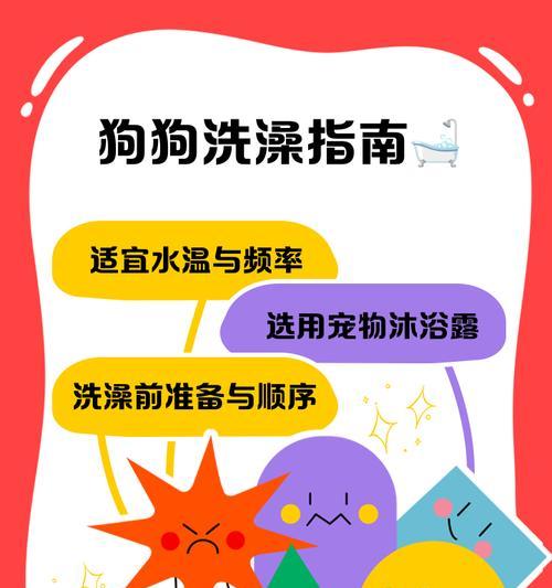小心翼翼，宠爱你的狗狗——正确的洗狗狗方法（15个小贴士教你如何给狗狗洗澡）  第2张