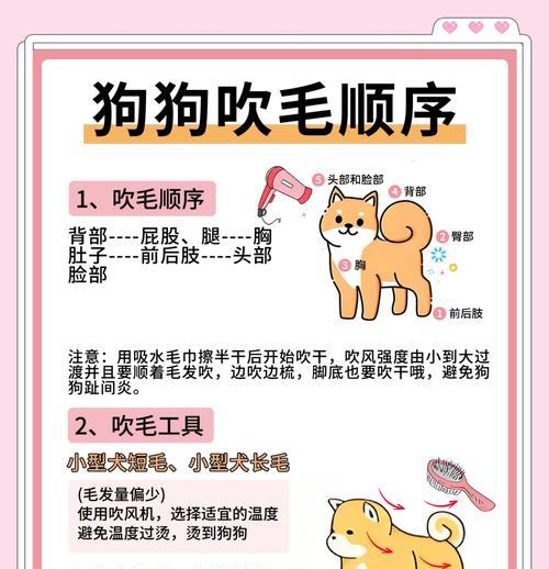 小心翼翼，宠爱你的狗狗——正确的洗狗狗方法（15个小贴士教你如何给狗狗洗澡）  第3张
