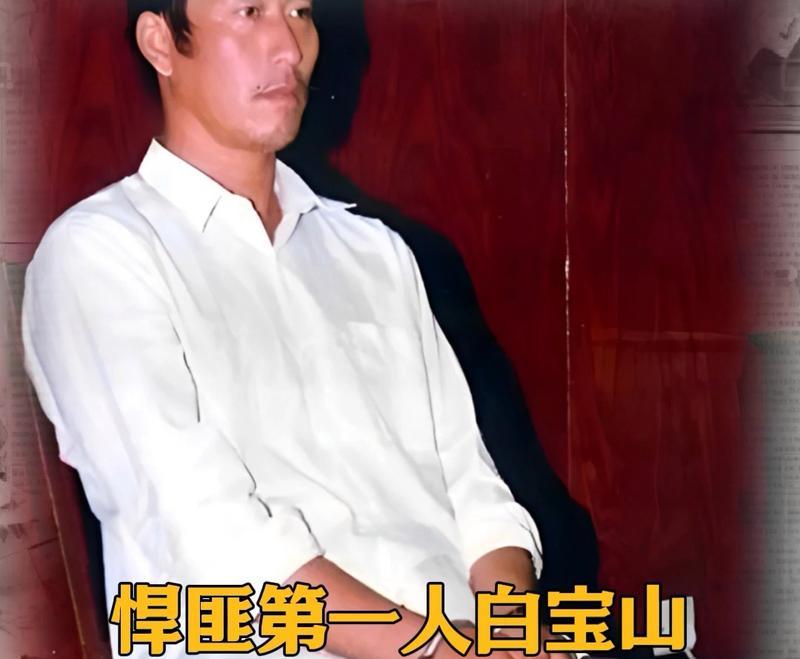 白宝山惊人杀人案调查（探寻罪犯心理与案件背后的真相）  第2张