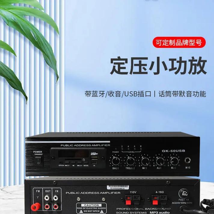 小型音箱小功放选购技巧是什么？  第1张