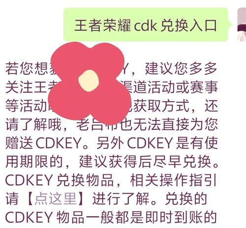 王者荣耀cdk兑换流程是什么？兑换后如何使用？  第2张