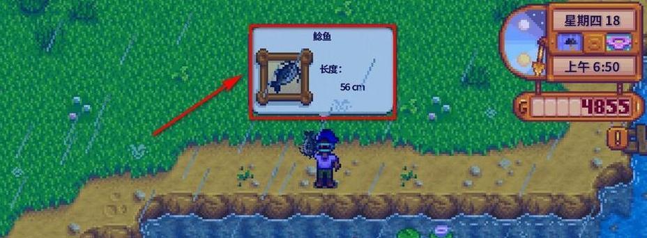 星露谷物语太阳鱼钓法全解析（从位置到装备）  第2张