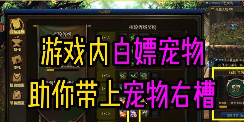 白嫖DNF宠物，快速提升游戏战力的小技巧（2024年DNF最新宠物系统）  第1张